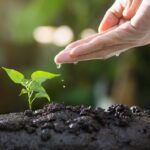 Rencontrer un psychanalyste pour dénouer l'angoisse associée aux inquiétudes écologiques du monde moderne